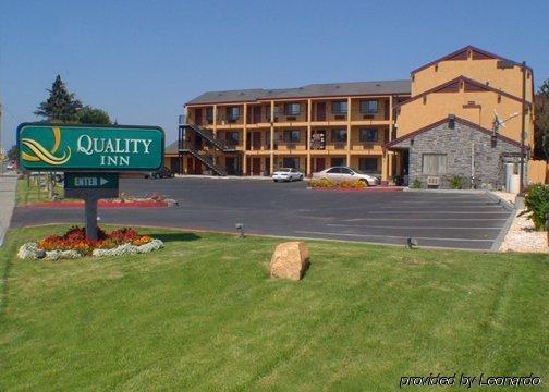 Quality Motel Salinas